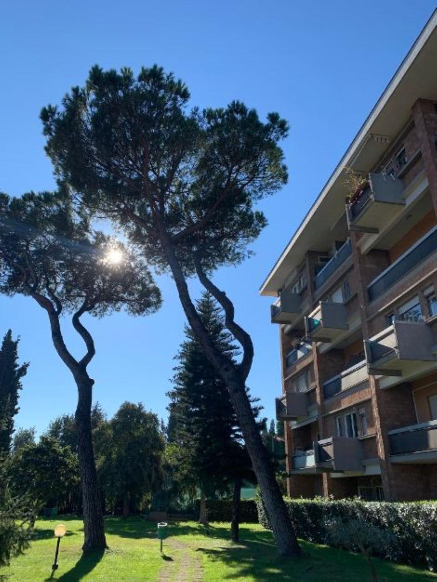 Laura Sweet Home Con Piscina Roma Exterior foto